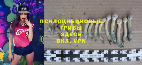 стаф Алексеевка