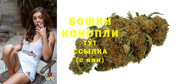 apvp Аркадак